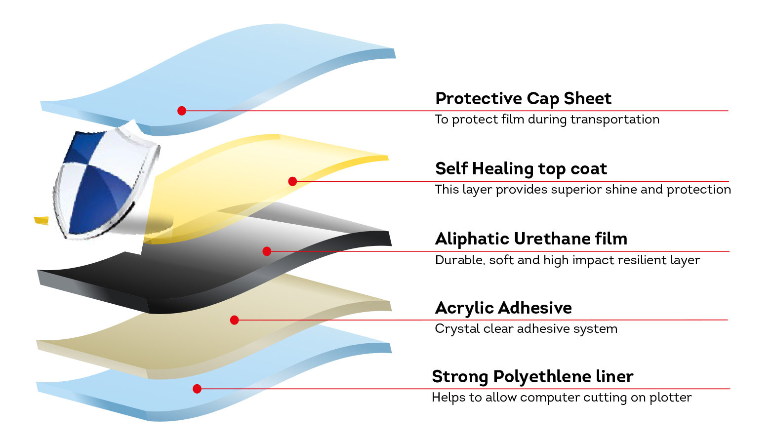 Paint Protection Film Layers Diagram